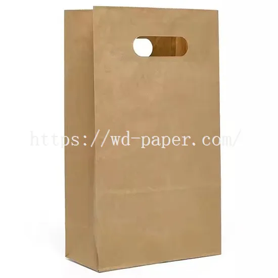 5-recycled kraft paper bags